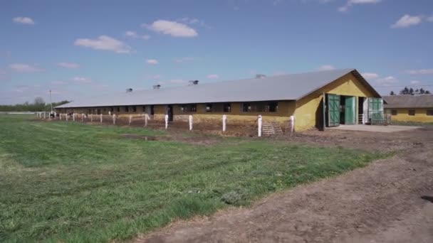 外面的老农场景观 公牛农场 — 图库视频影像