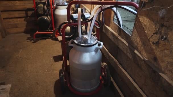 Milking Machine Milking Goats — Stock Video
