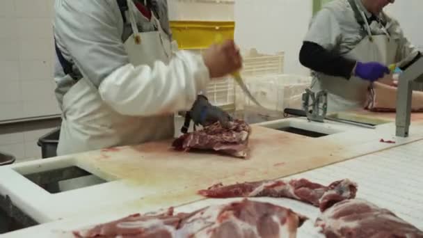 Παραγωγή Κρέατος Μεταφορέας Κοπής Κρέατος Βιομηχανία Κρέατος Χειρωνακτική Εργασία — Αρχείο Βίντεο