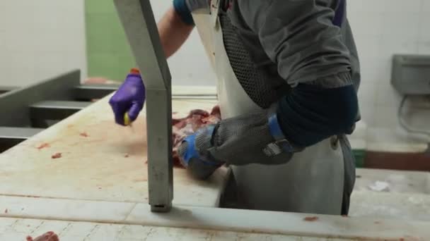Vleesproductie Vleessnijden Transportband Vleesindustrie Handenarbeid — Stockvideo