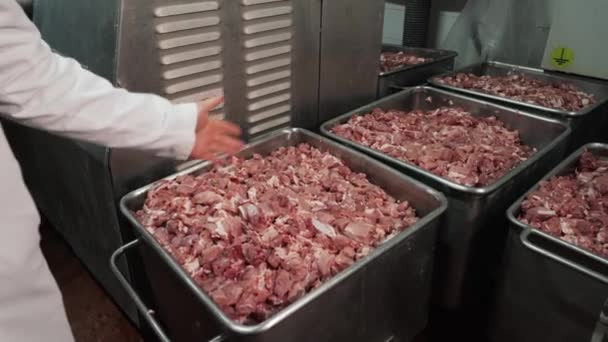 Morceaux Viande Animale Crue Usine Fabrication Porc Frais — Video