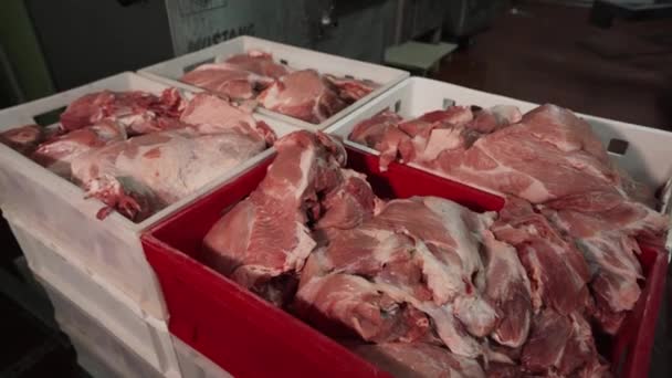 Potongan Daging Hewan Ternak Mentah Pabrik Pabrik Pork Segar — Stok Video