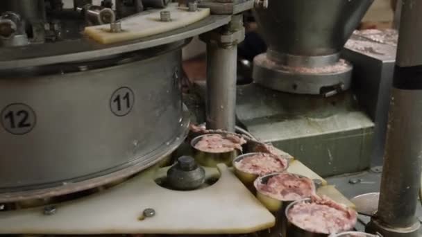 猪肉炖肉生产厂 肉类输送机 — 图库视频影像