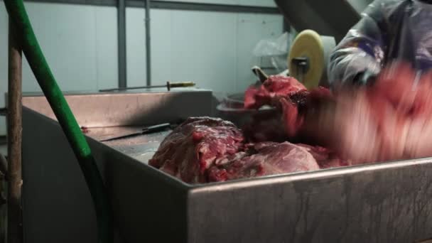 Przygotowanie Mięsa Posiekania Kawałki Zakład Produkcji Świeżej Wieprzowiny — Wideo stockowe