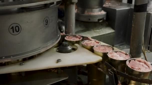 猪肉炖肉生产厂 肉类输送机 — 图库视频影像