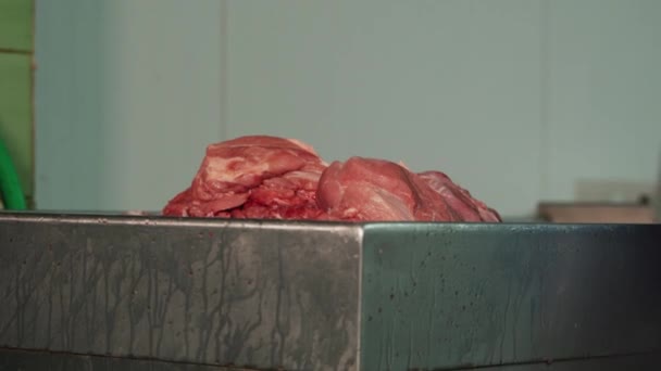 Przygotowanie Mięsa Posiekania Kawałki Zakład Produkcji Świeżej Wieprzowiny — Wideo stockowe