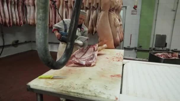一个人切肉 肉类输送机 — 图库视频影像