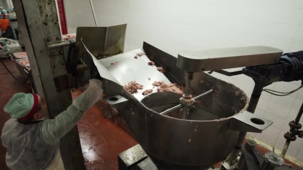 把切碎的肉装入输送线 罐头肉类的生产 — 图库视频影像