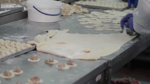 Production Dumplings Dough Minced Meat Retail Wholesale — Stock Video