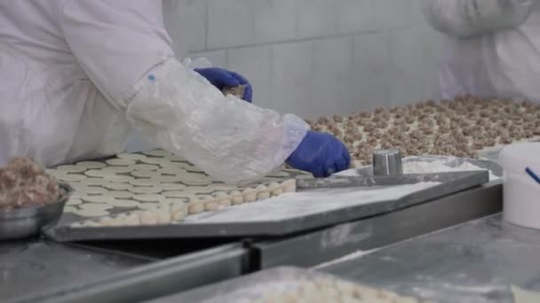 Production Dumplings Dough Minced Meat Retail Wholesale — Stock Video