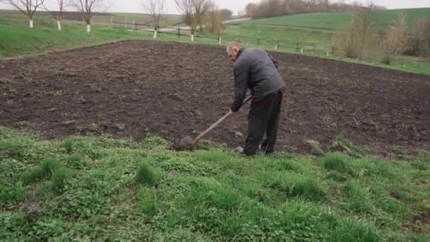 Seorang Pria Menggali Taman Dengan Sekop — Stok Video