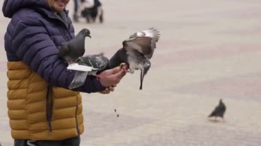 Bir adam kürekle bahçe kazıyor..