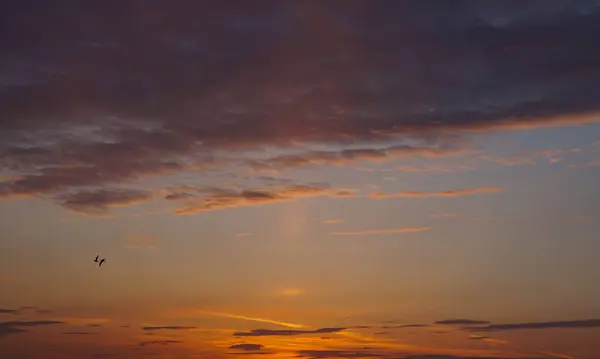 劇的な雲と鳥が飛ぶサンタウンの日の出の空の背景 — ストック写真