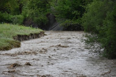 Bizdidel nehri, Dambovita, Romanya 'daki Diaconesti köyü köprüsünden 2021 baharında görüldü. Çamurlu nehir suları