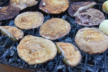 Izgarada pişirilmiş mantar mantarı. Boletus Edulis ızgara yaptı. Izgara Porcini Mantarı. Yüksek kalite fotoğraf