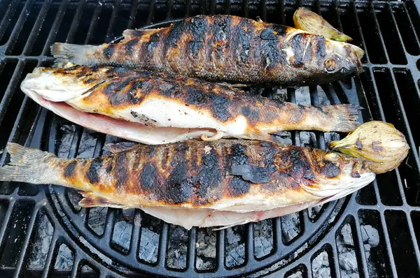 Pescado Trucha Parrilla Cocinando Sobre Fuego Leña Caliente Vista Superior — Foto de Stock