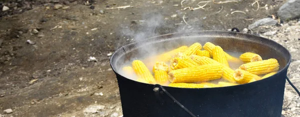 Corn Boiling Cauldron Street Food Sweet Juicy Yellow Stacked Corn — Stock Photo, Image