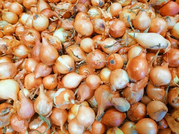 Small onion bulb seeds background. Onion seeds ready to plant in the spring backdrop. High quality photo