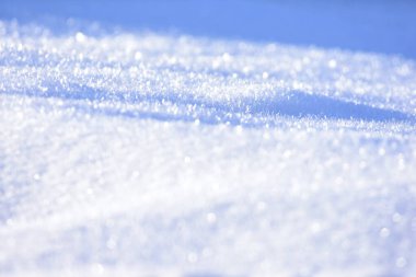 Beyaz kar kapanıyor. Yumuşak kar dokusu. Kış arkaplanı ve taze kar. Yüksek kalite fotoğraf