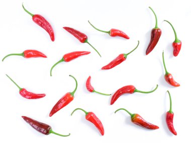 Acı biber desenli. Beyaz arka planda karabiberler izole edilmiş. Fresno acı biber deseni