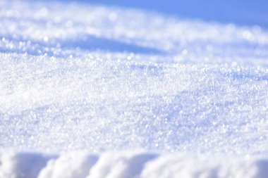 Beyaz kar kapanıyor. Yumuşak kar dokusu. Kış arkaplanı ve taze kar. Yüksek kalite fotoğraf