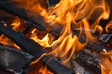 Barbekü için odun yakıyorum. Yüksek kalite fotoğraf