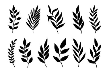 Yapraklar ve dallar hazır. Vahşi bitkiler ve bahçe yaprakları beyaz arka planda. Vektör illüstrasyonu