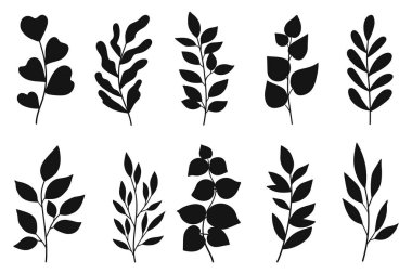 Yapraklar ve ağaç dalları yerleştirildi. Kadınsı botanik beyaz arka planda izole edilmiş siluet koleksiyonu bırakır. Basit yaprak dalları ve bitkiler