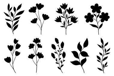 Yaprakları ve çiçekli siluetleri olan dallar. Kadınsı botanik çiçek dalları beyaz arka planda izole edilmiş siluet koleksiyonu. Basit yaprak dalları ve bitkiler