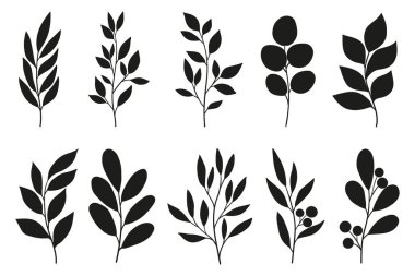 Yapraklar ve dallar hazır. Vahşi bitkiler ve bahçe yaprakları beyaz arka planda. Vektör illüstrasyonu