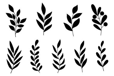 Yapraklar ve ağaç dalları yerleştirildi. Kadınsı botanik beyaz arka planda izole edilmiş siluet koleksiyonu bırakır. Basit yaprak dalları ve bitkiler