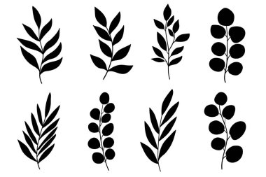 Yapraklar ve ağaç dalları yerleştirildi. Kadınsı botanik beyaz arka planda izole edilmiş siluet koleksiyonu bırakır. Basit yaprak dalları ve bitkiler