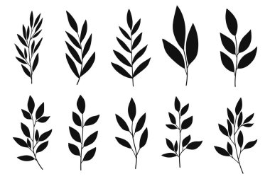 Yapraklar ve ağaç dalları yerleştirildi. Kadınsı botanik beyaz arka planda izole edilmiş siluet koleksiyonu bırakır. Basit yaprak dalları ve bitkiler