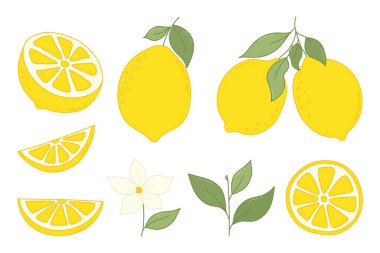 El Kaplama Limon Meyveleri Seti. Taze limon, tam limon meyvesi, çiçek, yaprak, limon dilimleri ve yarım dilim limon, doğranmış limon. Limonata, meyve suyu ve vitamin ürünleri için çizgi film limonları koleksiyonu. Vektör