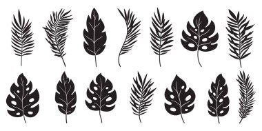 Tropikal yaprak siluetleri beyaz arkaplanda poster, baskı, davetiye ve kapak tasarımı için izole edildi. Süslü egzotik siluet yaprakları. Avuç içi, muz, canavar, hindistan cevizi yaprakları. Vektör