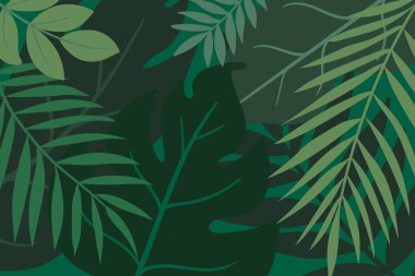 Üst üste binen yapraklar, canavarlar, palmiye ve muz yaprakları ile tropik yapraklar soyut arka plandadır. Tropik Orman Yaprakları Arkaplanı. Vektör illüstrasyonu