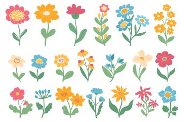 Bahar çiçeği seti. Romantik kır çiçeği koleksiyonu. Çiçek açan şirin elementler, beyaz arka planda klitoris. Vektör illüstrasyonu