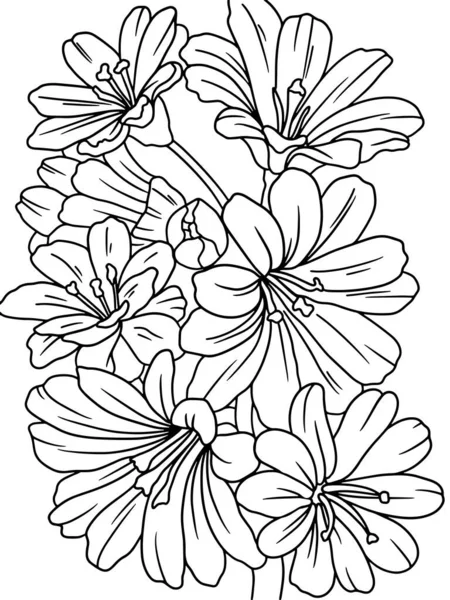 Анемонный Цветок Детская Раскраска Черный Штрих Белый Фон Растровая Иллюстрация — стоковое фото