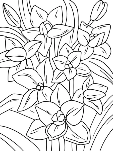 Цветок Хеллебора Детская Раскраска Черный Штрих Белый Фон Растровая Иллюстрация — стоковое фото