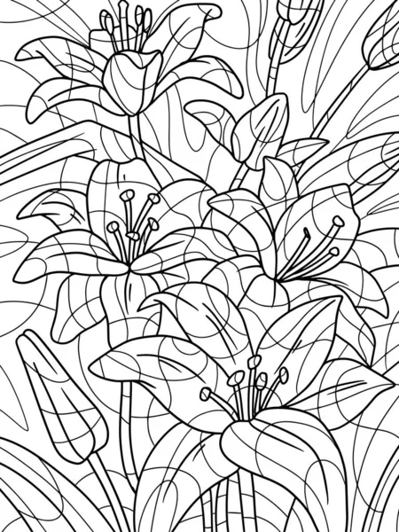 Zarys Kwiatów Lilii Ręcznie Rysowane Ilustracji Szkic Freehand Dla Dorosłych — Zdjęcie stockowe