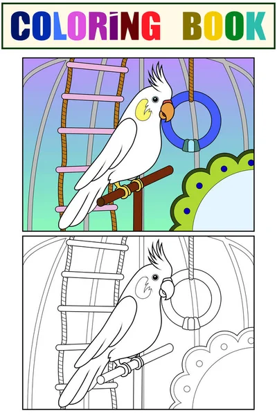 家养的宠物 笼中的鹦鹉 树立榜样和孩子的色彩 栅格图解 — 图库照片