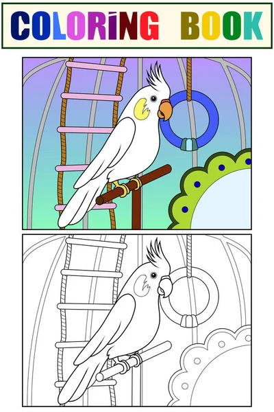 Home Pet Parrot Cage Enclosure Interior Set Example Children Color — Stock Vector