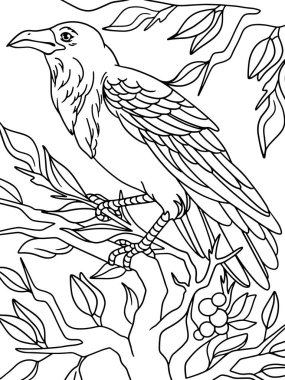 Bir dalda Kuzgun. Çocuk boyama kitabı. Vektör illüstrasyonu.
