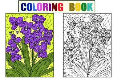 Flowers orchidaceae, white background. Set Color and coloring book antistress. Zen-tangle style. Vector