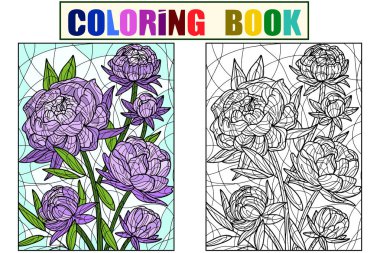 Set Flowers peonies, color background and color. Book antistress for children and adults, raster illustration.