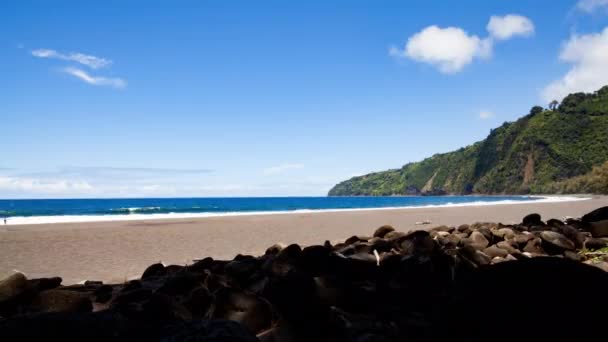 Kort Tid Stranden Sommareftermiddag Waipio Valley Den Stora Hawaii Statisk — Stockvideo