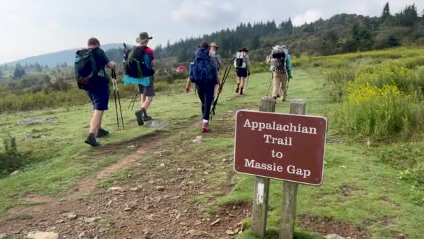 Een Groep Van Backpackers Wandelingen Langs Appalachian Trail Grayson Highlands — Stockvideo