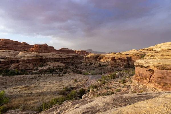 Utah 'taki Canyonlands Ulusal Parkı' nın Labirent Bölgesi 'nde bulunan Water Canyon, bir bahar günü gün batımında görüldü. Birkaç küçük, tanımlanamayan yürüyüşçü kuru temizlemecide görülmüş.