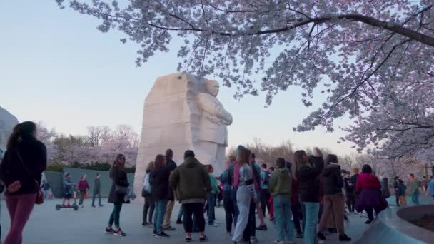 Mlk Anıtı Nda Bir Tur Grubu Martin Luther King Önünde — Stok video