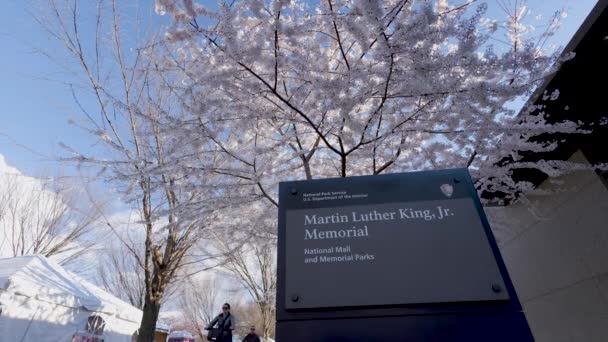 Skylt Till Martin Luther King Memorial National Mall Washington Blommande — Stockvideo